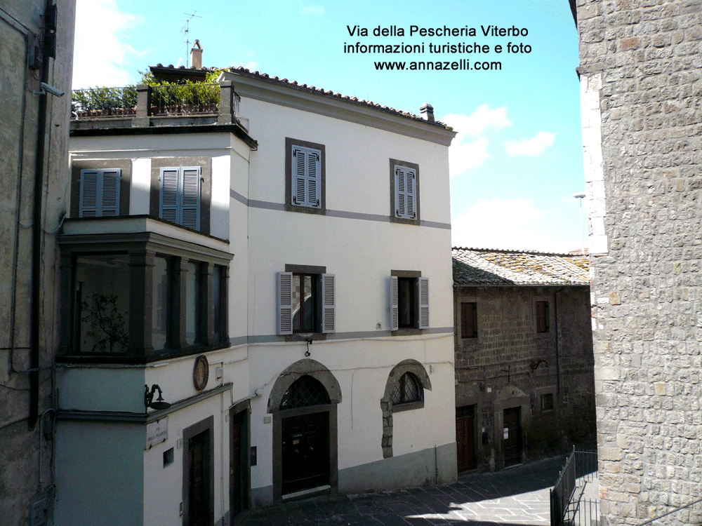 via della pescheria viterbo centro storico info e foto anna zelli