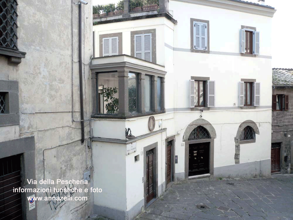 via della pescheria viterbo centro storico info e foto anna zelli