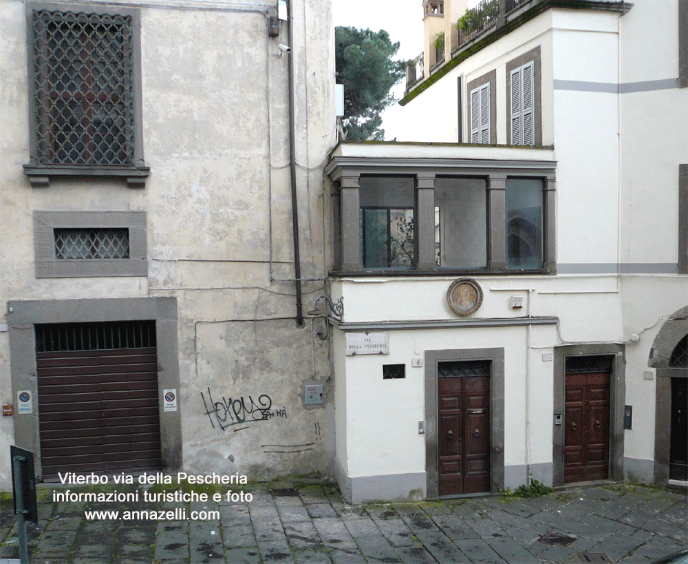 via della pescheria viterbo centro storico info e foto anna zelli