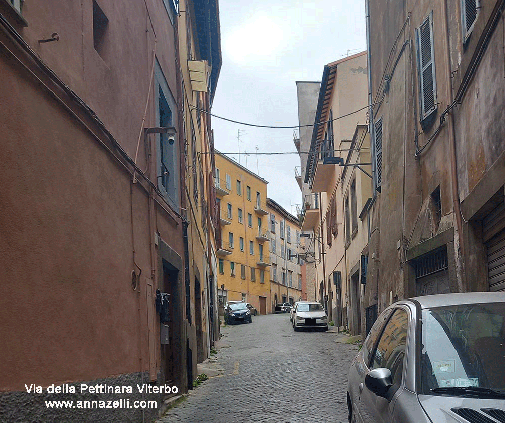 via della pettinara viterbo centro storico info e foto anna zelli