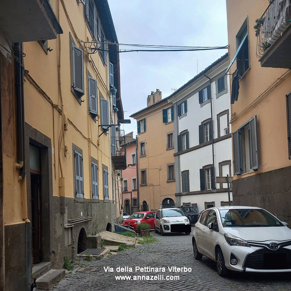 via della pettinara viterbo centro storico info e foto anna zelli