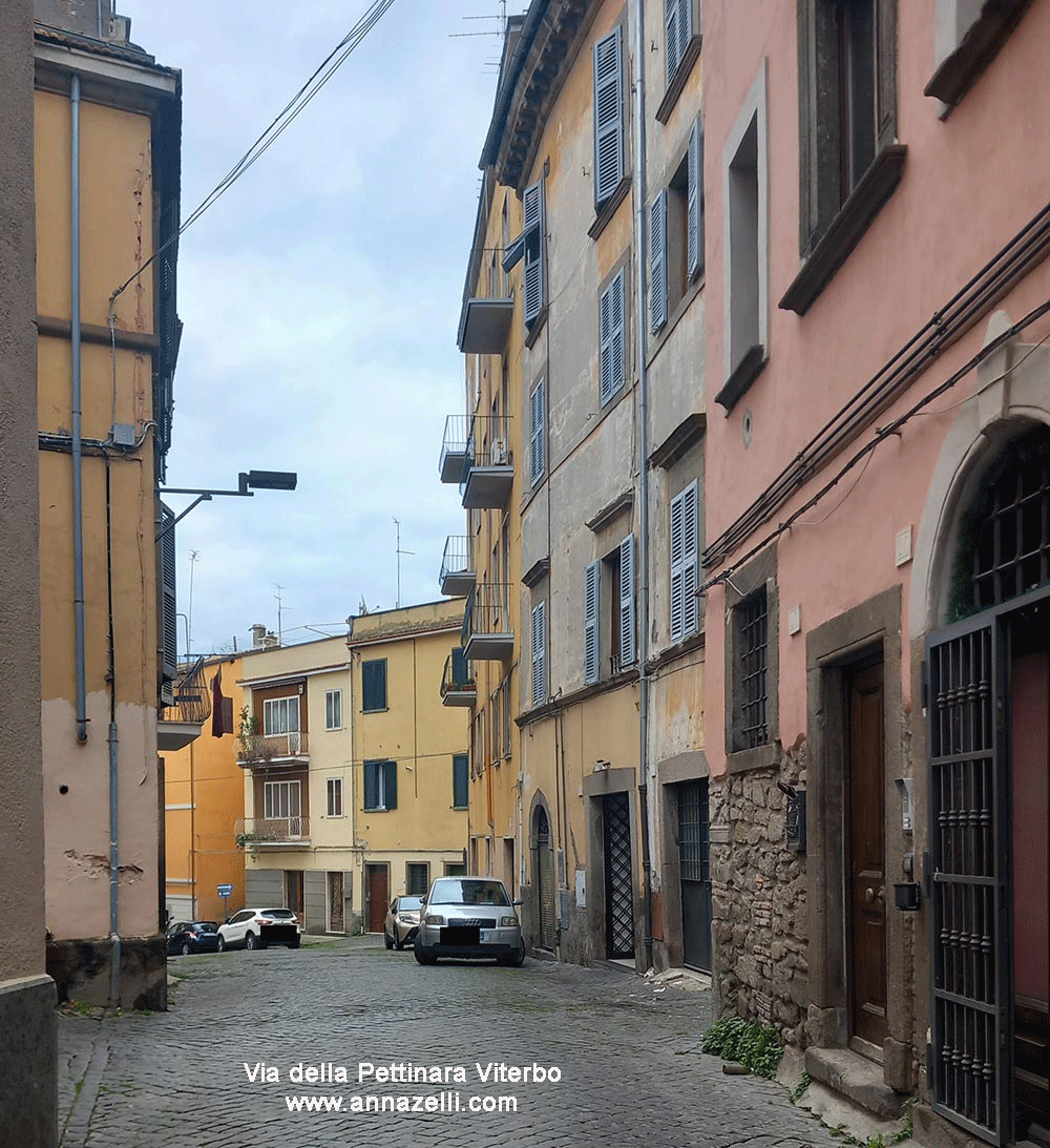 via della pettinara viterbo centro storico info e foto anna zelli