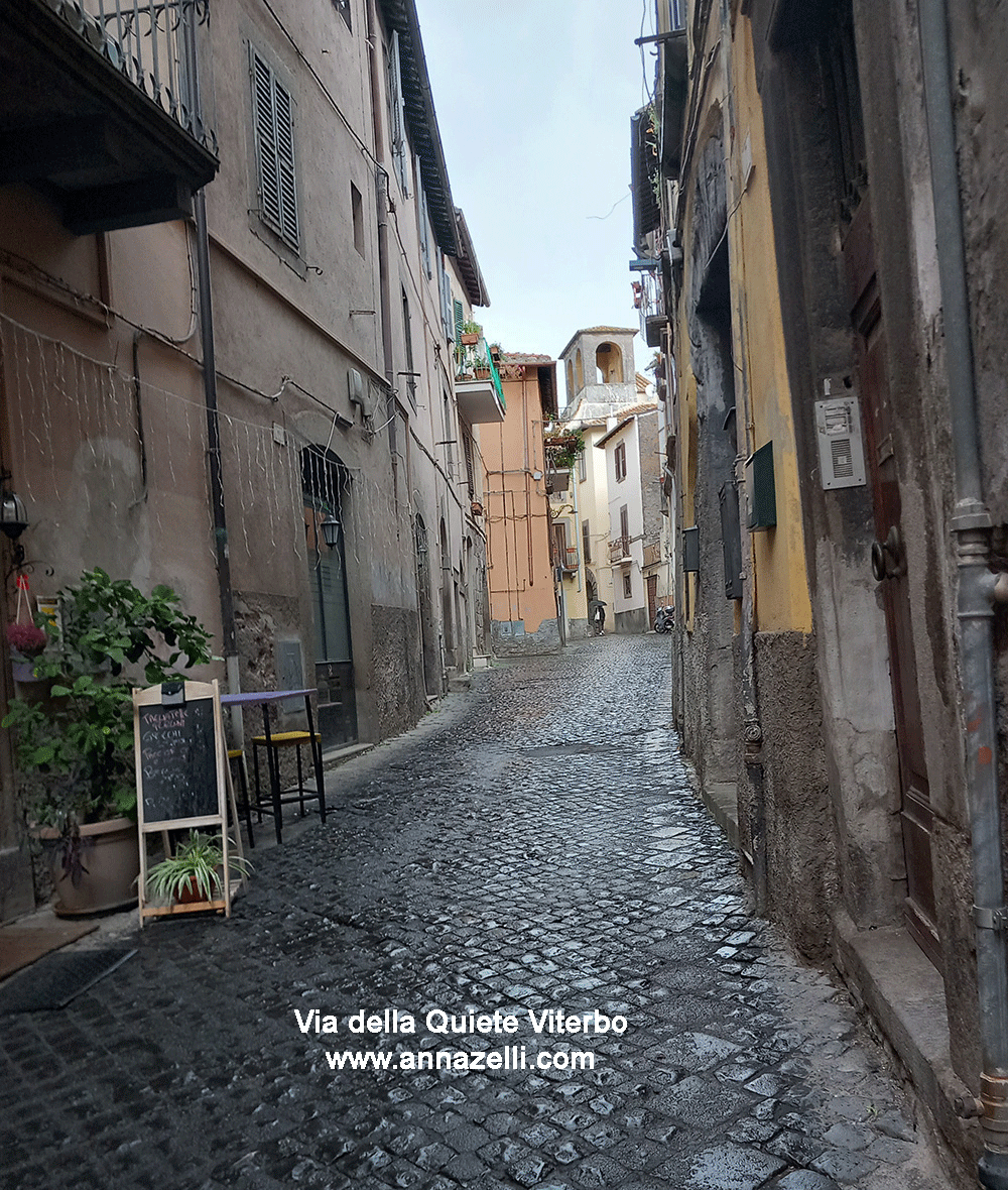 via della quiete viterbo centro info e foto anna zelli