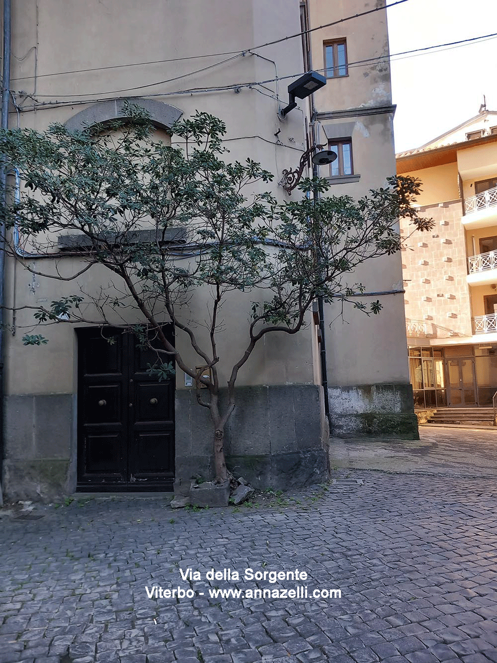 via della sorgente viterbo info e foto anna zelli