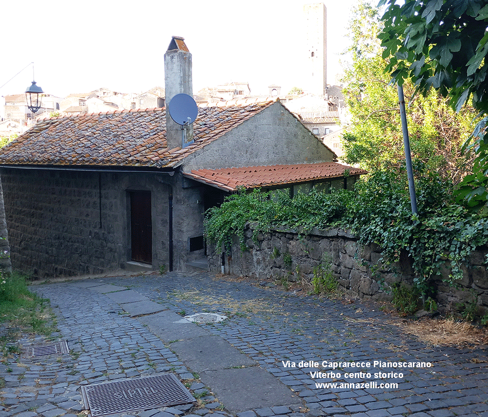 via delle caprarecce pianoscarano viterbo (2)