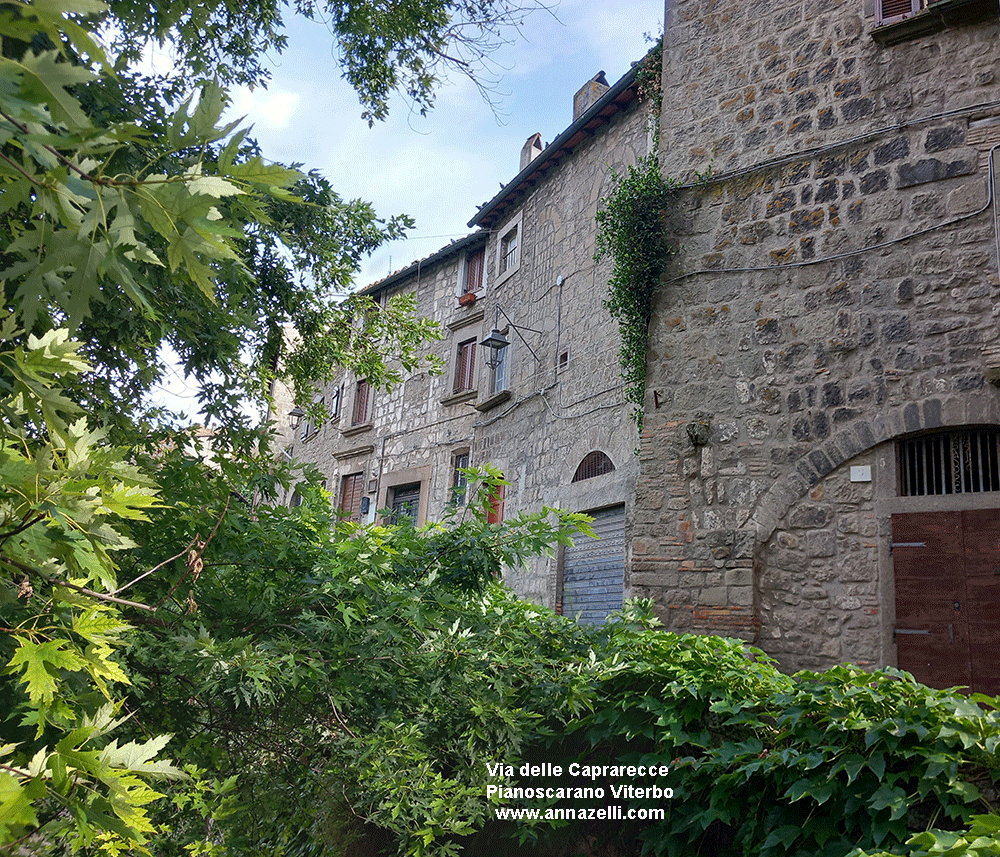 via delle caprarecce pianoscarano viterbo info foto anna zelli