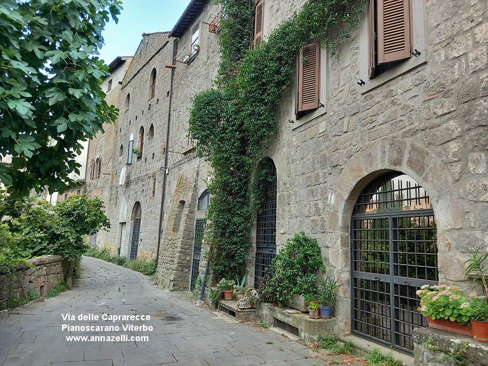via delle caprarecce pianoscarano viterbo info e foto anna zelli