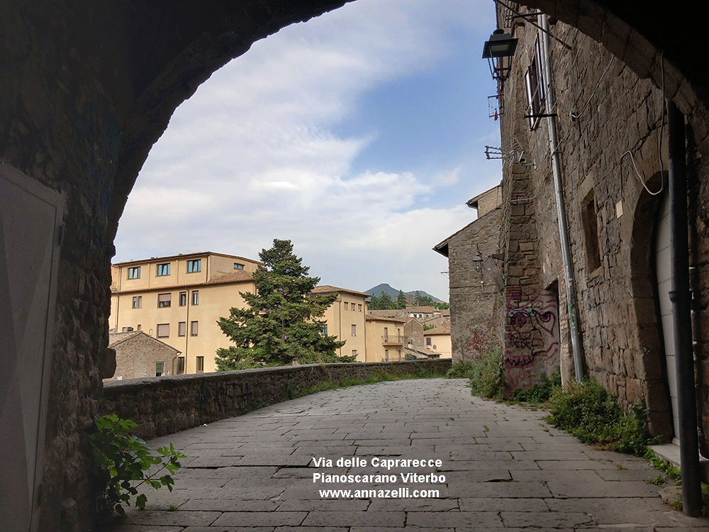 arco a via delle caprarecce pianosarano viterbo centro info e foto anna zelli