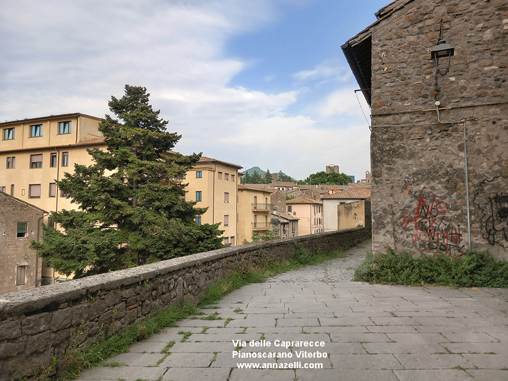 via delle caprarecce viterbo pianoscarano info e foto anna zelli