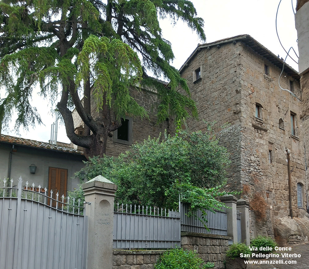 via delle conce viterbo quartiere medioevale san pellegrino info e foto anna zelli