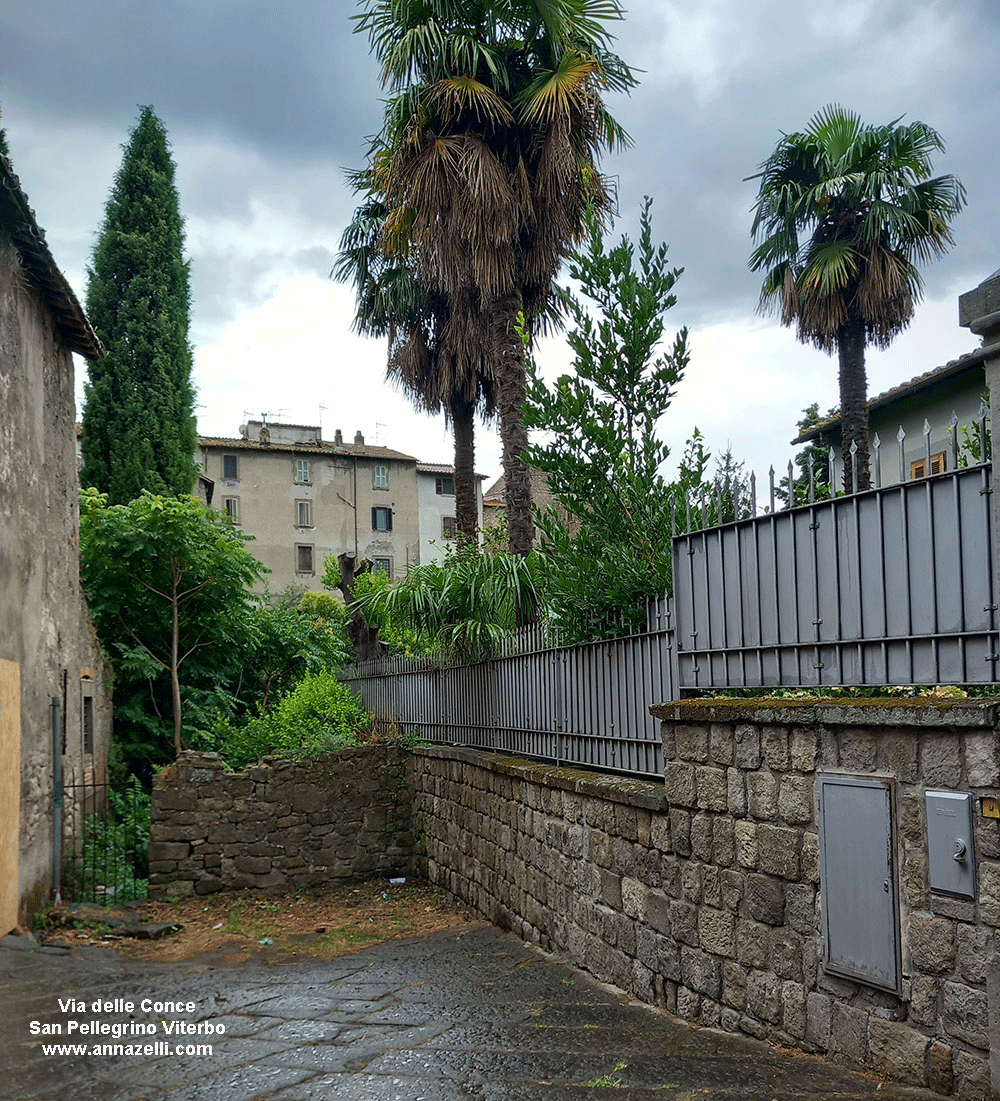 via delle conce viterbo quartiere medioevale san pellegrino info e foto anna zelli