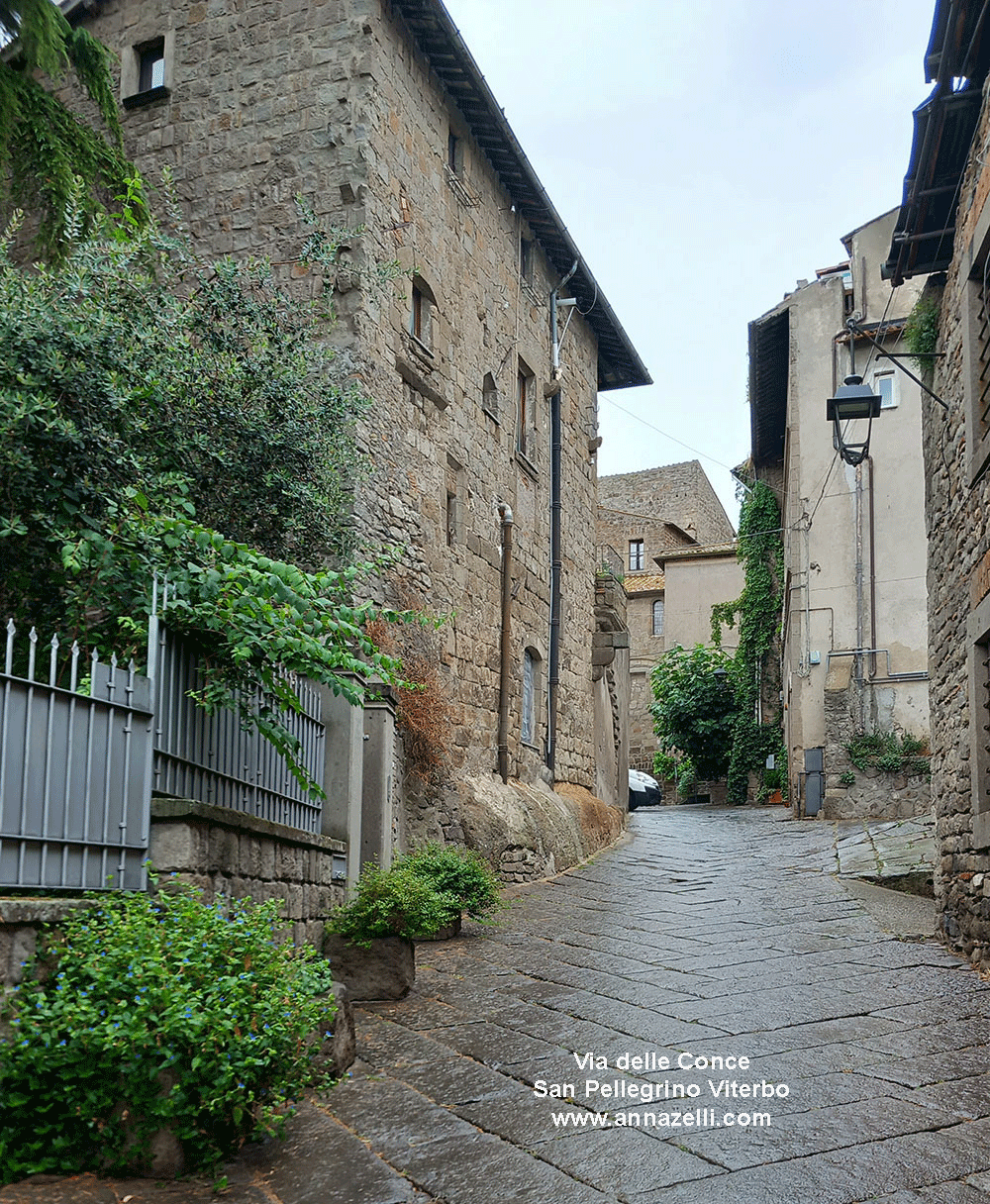 via delle conce viterbo quartiere medioevale san pellegrino info e foto anna zelli