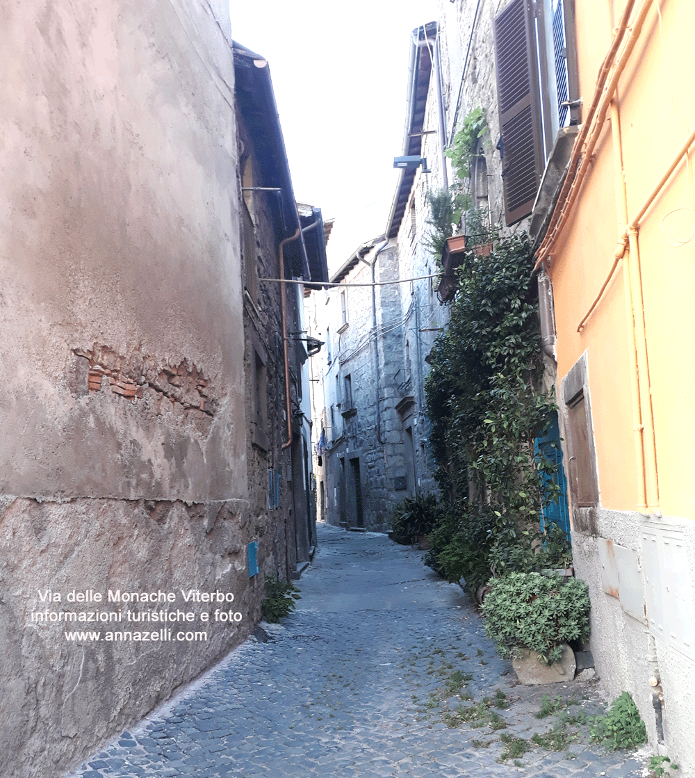 via delle monache viterbo centro storico info e foto anna zelli