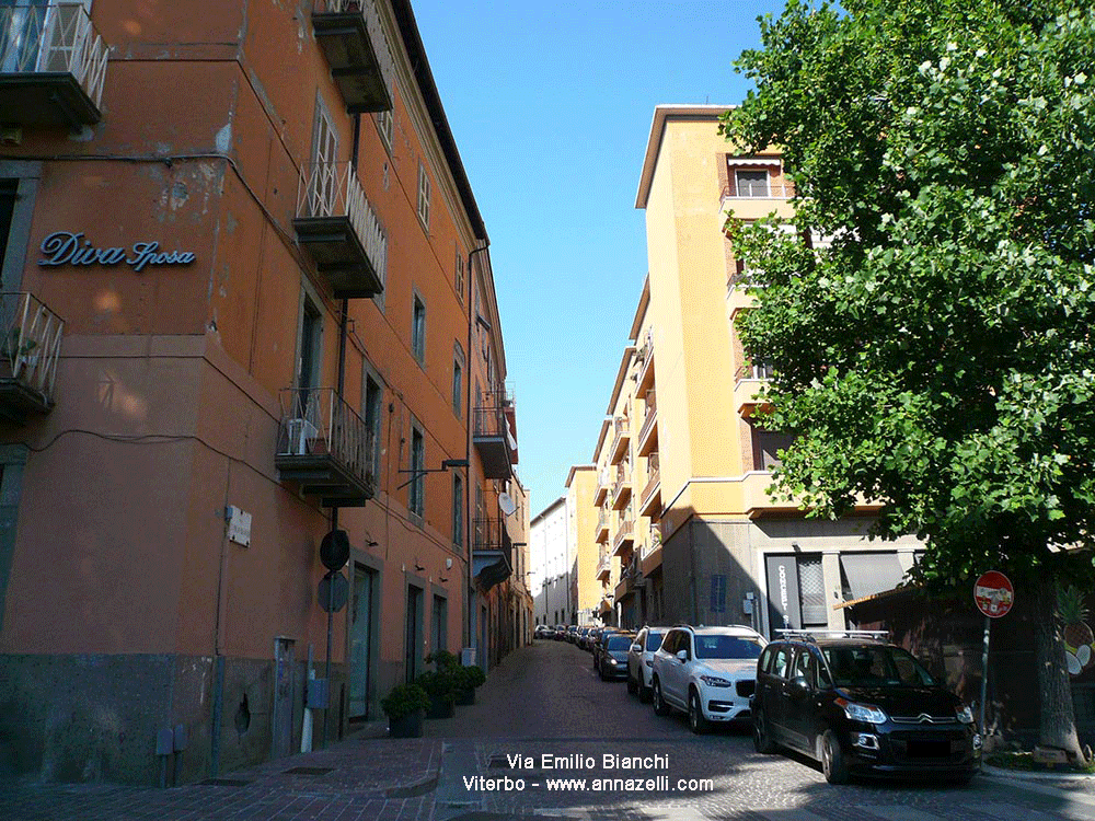 via emilio bianchi viterbo info e foto anna zelli