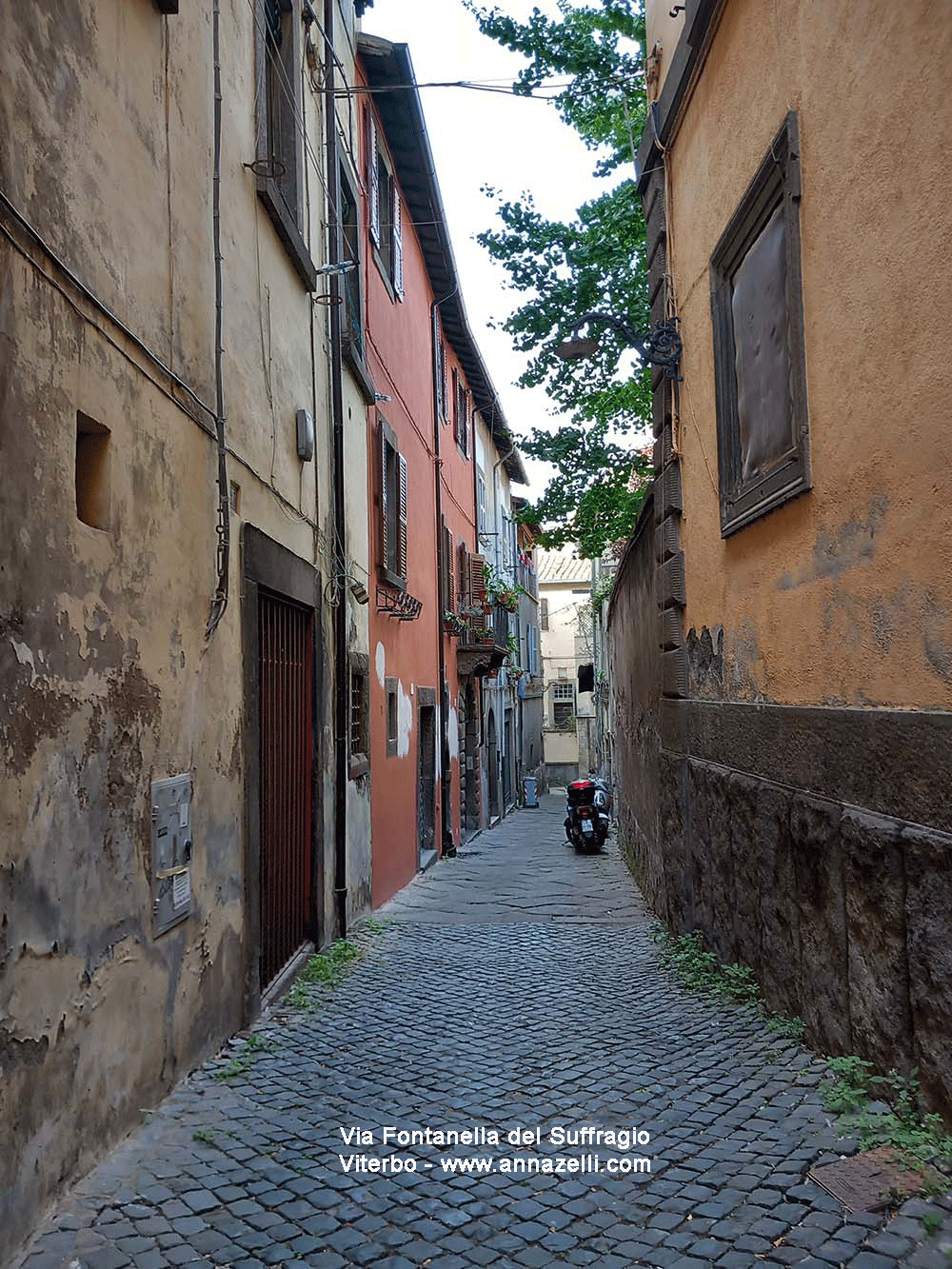 via fontanella del suffragio viterbo info e foto anna zelli