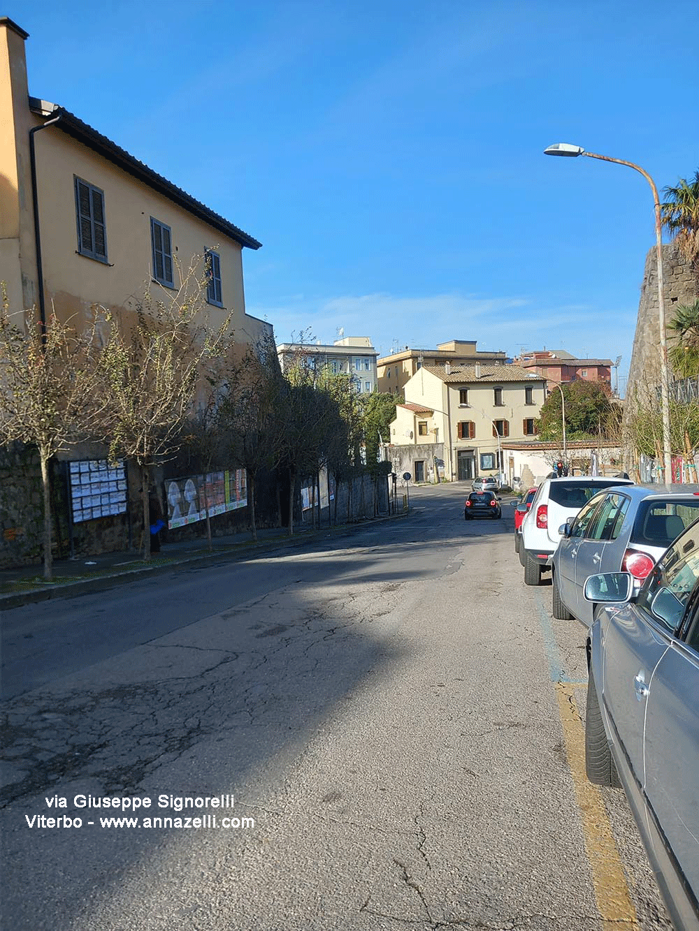 via giuseppe signorelli viterbo info e foto anna zelli