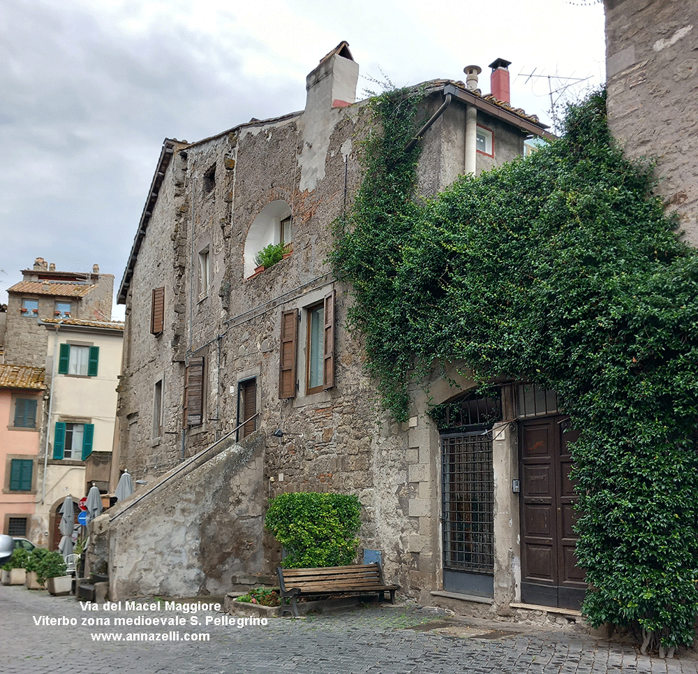 via del macel maggiore viterbo