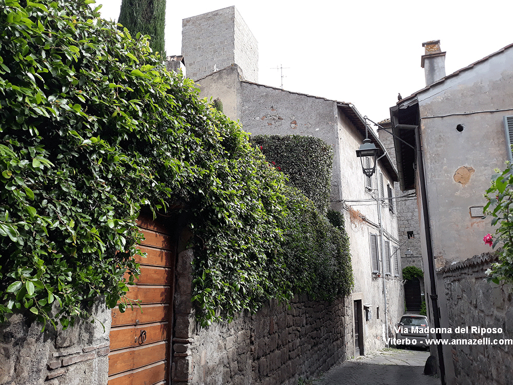 via madonna del riposo viterbo centro storico info e foto anna zelli