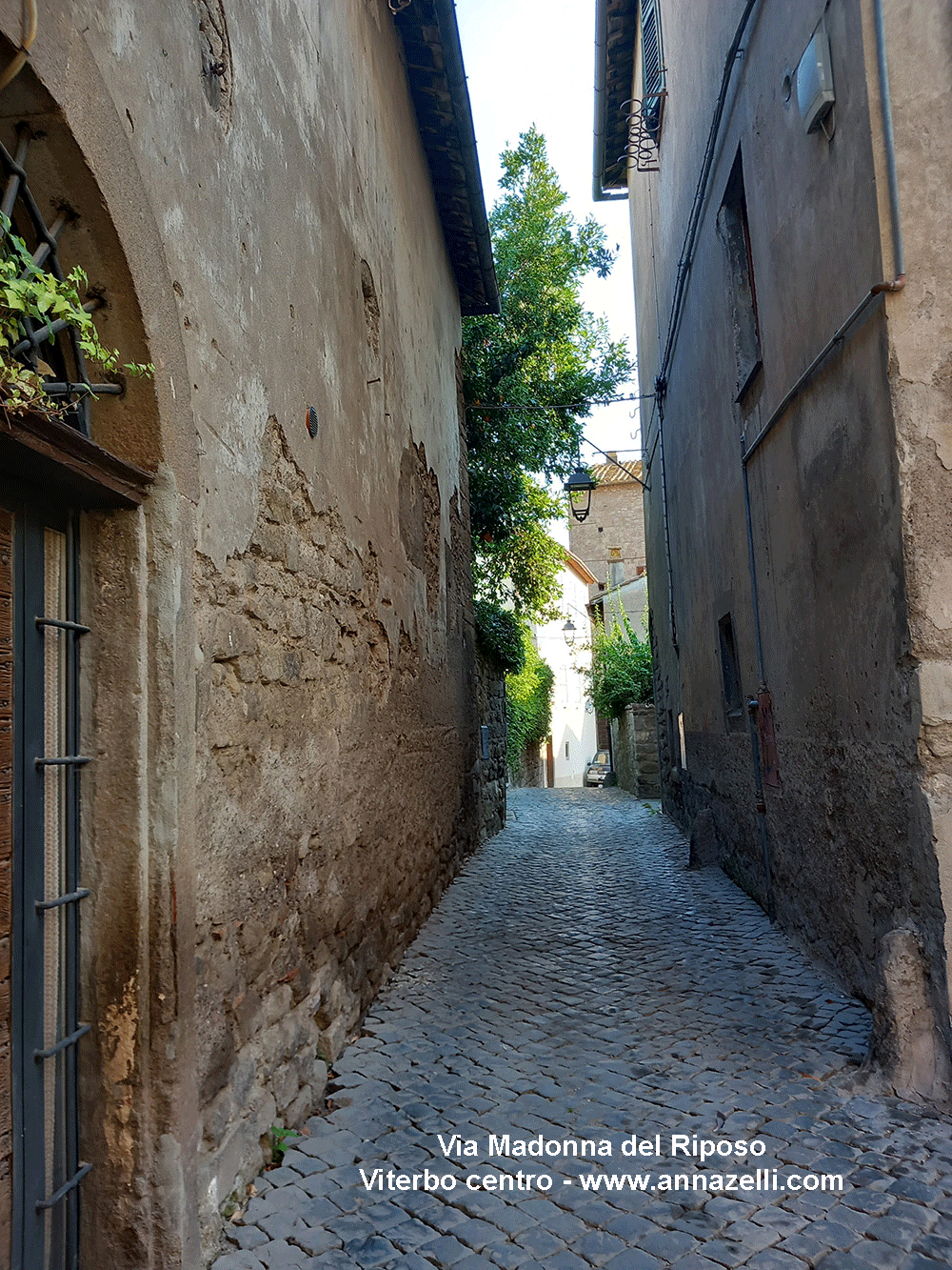 via madonna del riposo viterbo centro storico info e foto anna zelli