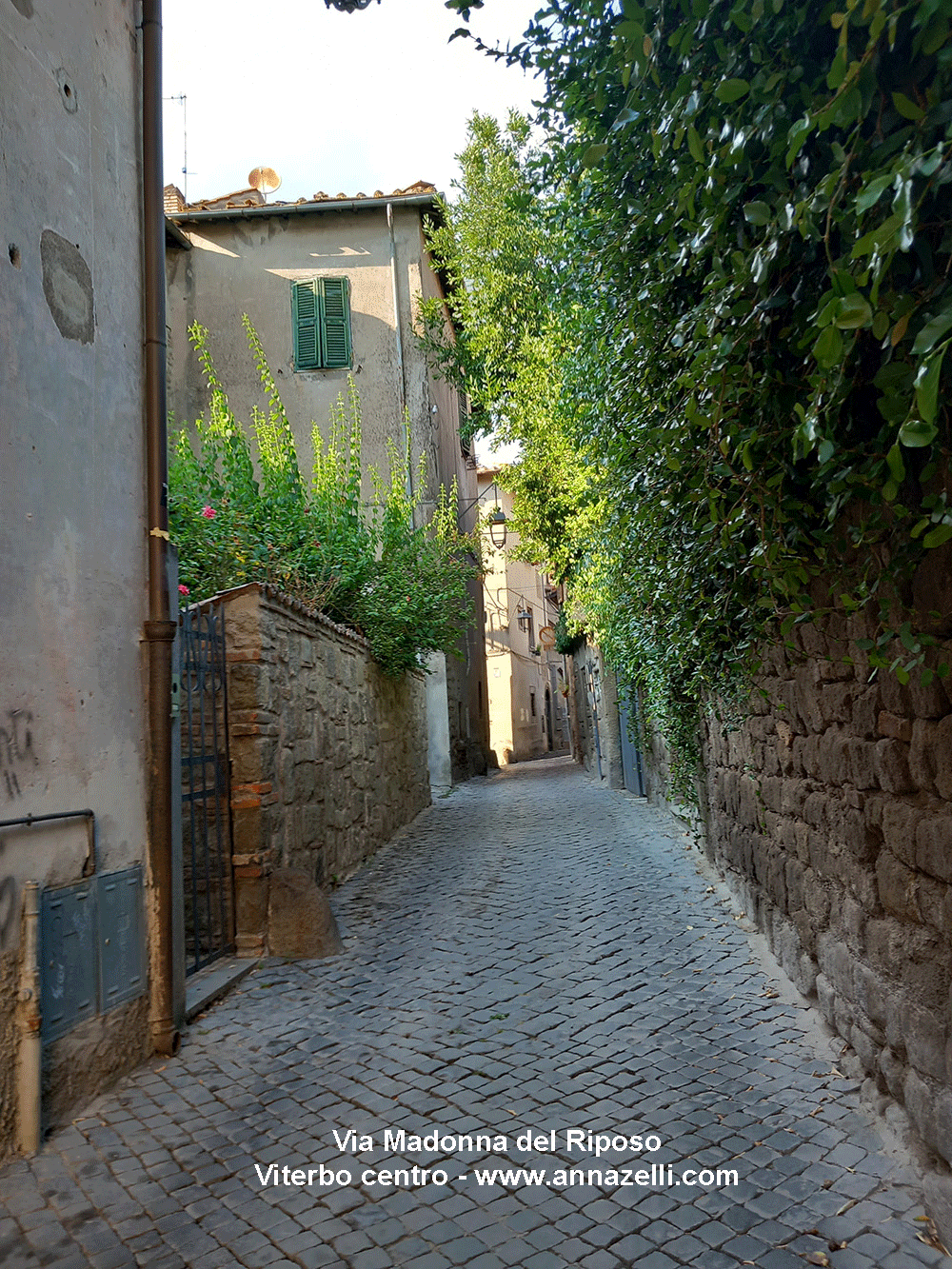 via madonna del riposo viterbo centro storico info e foto anna zelli