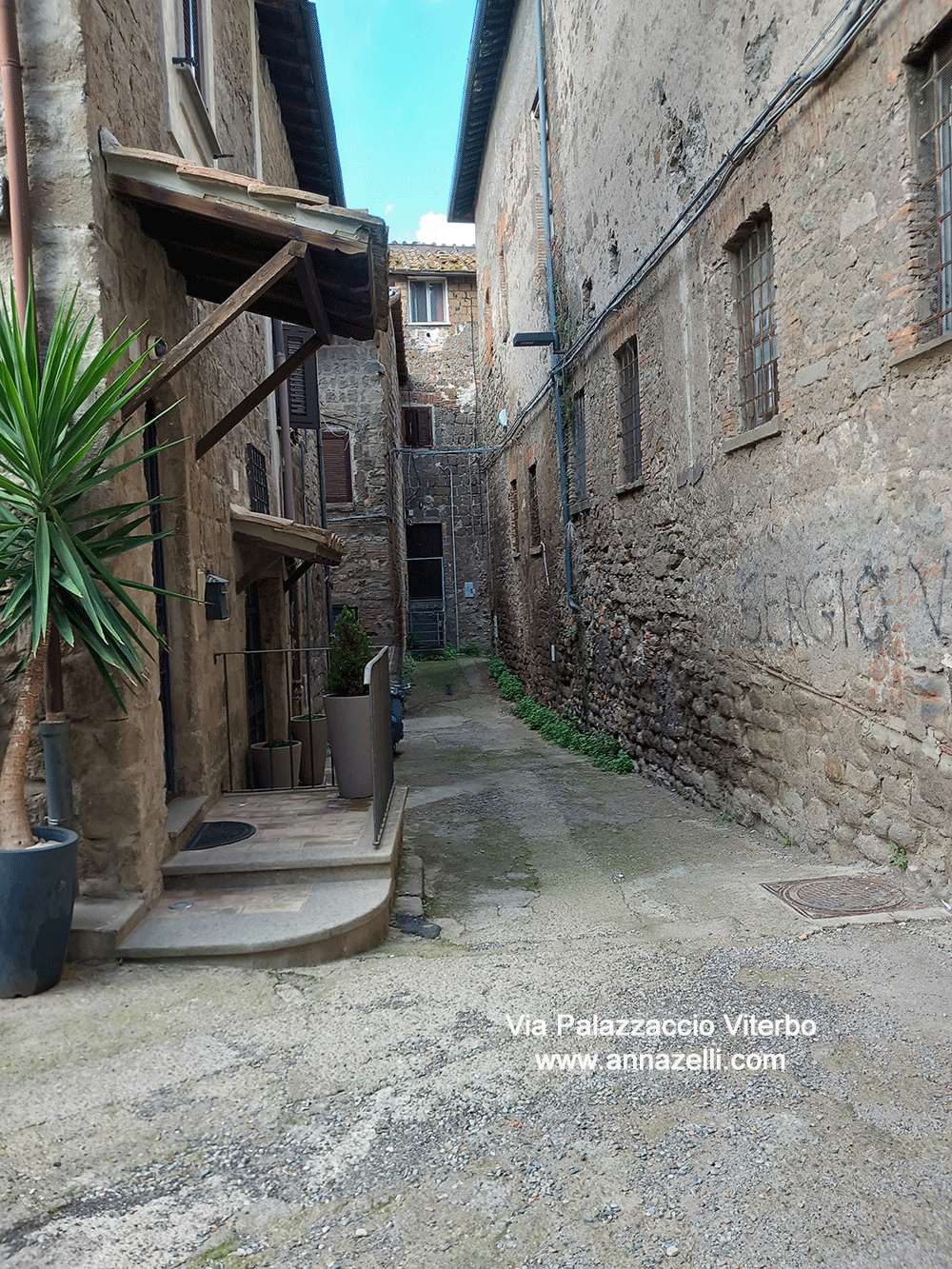 via palazzaccio viterbo centro storico info foto anna zelli