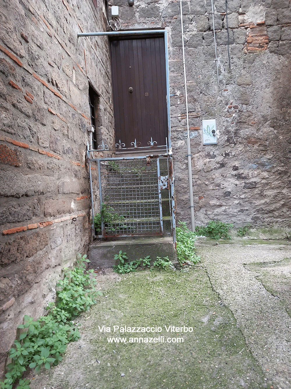 via palazzaccio viterbo centro storico info foto anna zelli