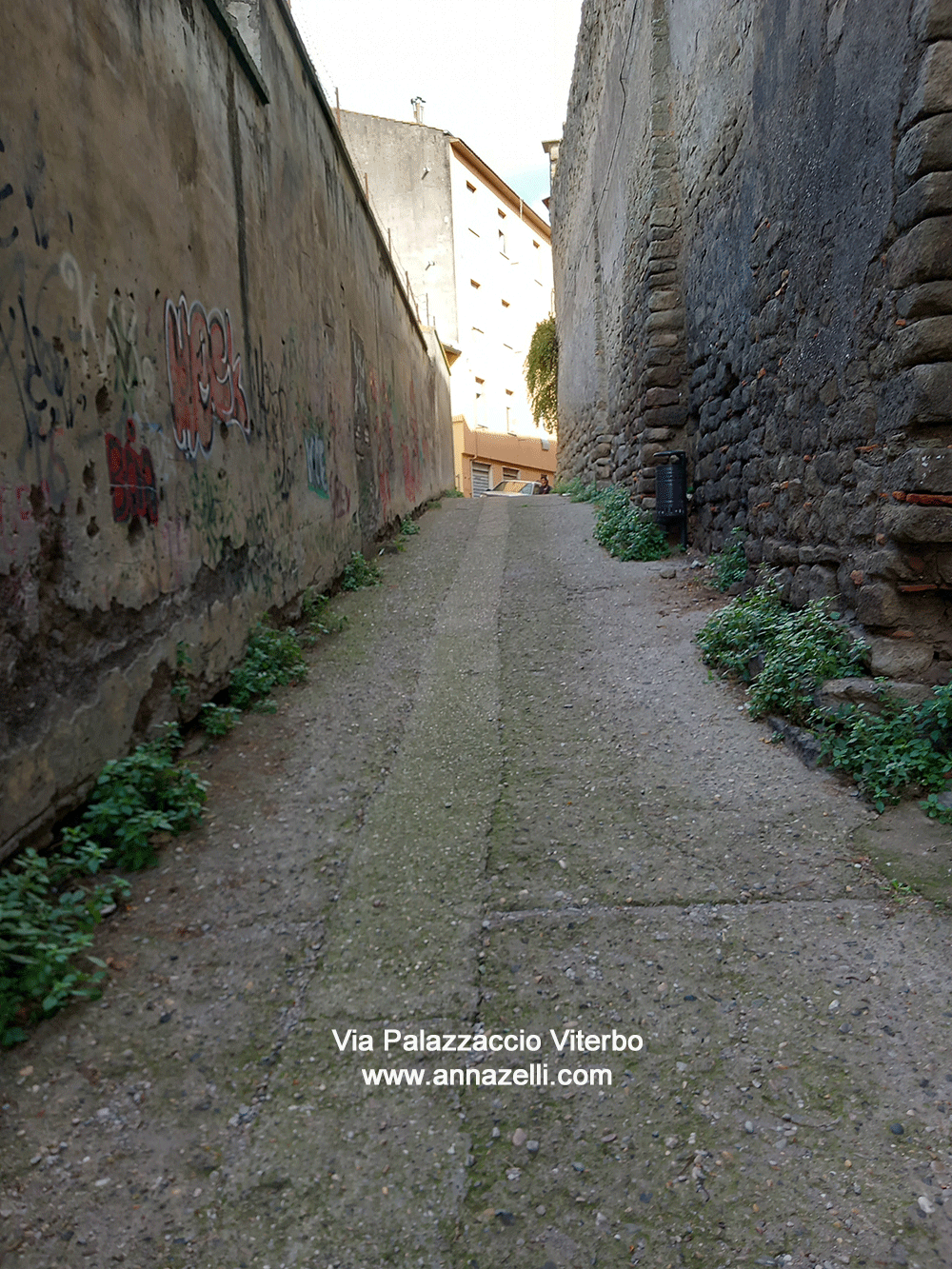 via palazzaccio viterbo centro storico info foto anna zelli