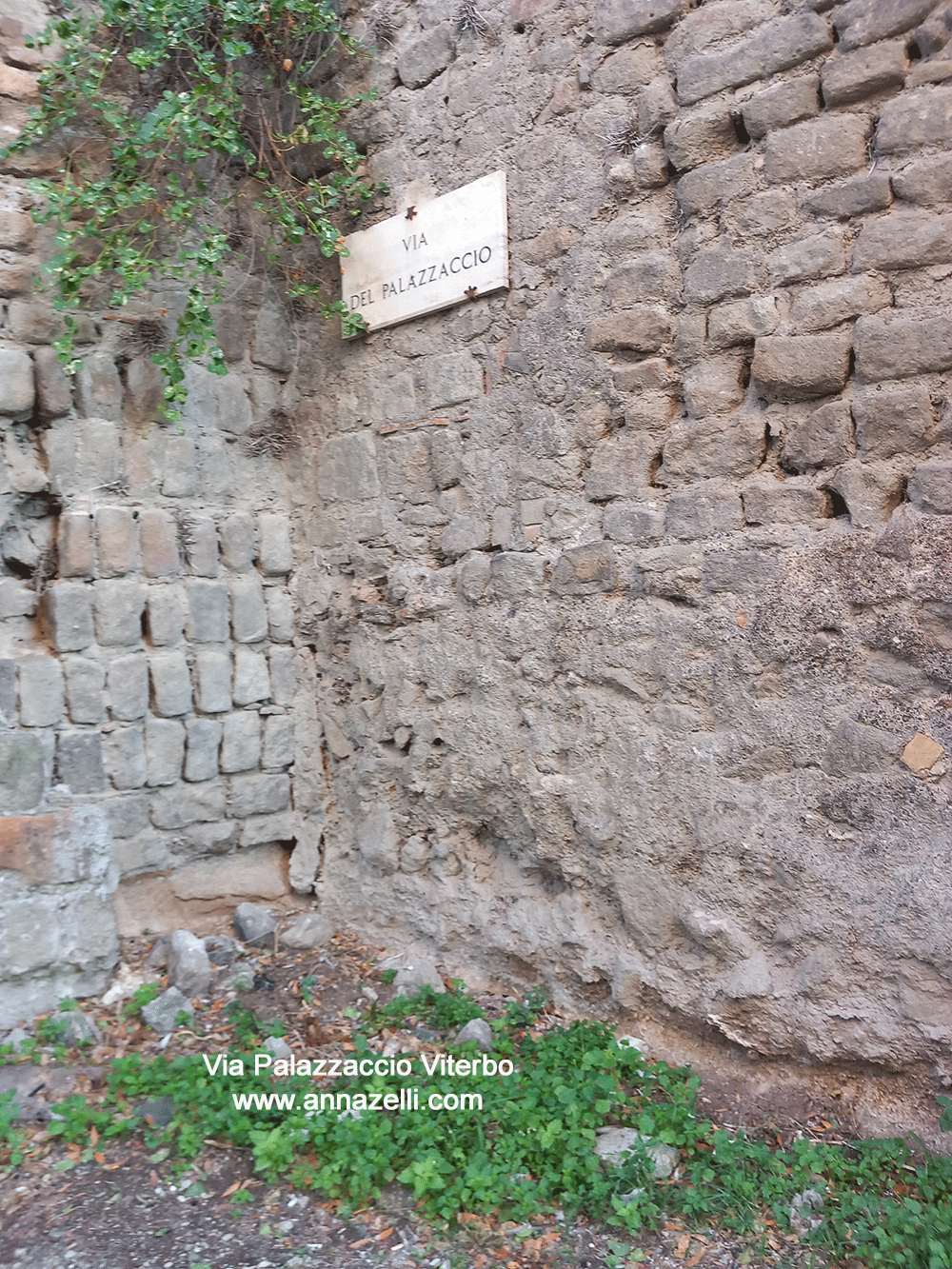 via palazzaccio viterbo centro storico info foto anna zelli