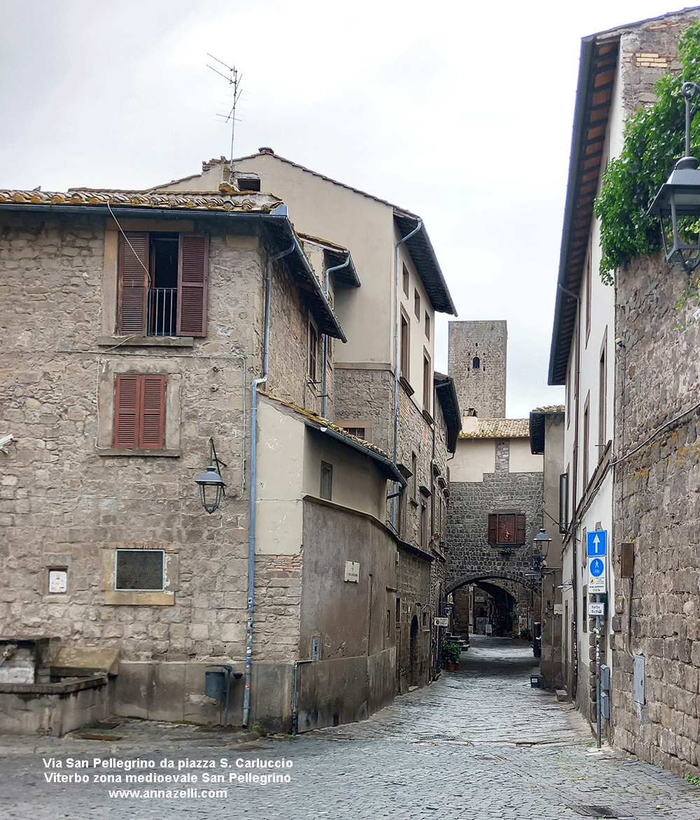 via san pellegrino da piazza san carluccio viterbo 