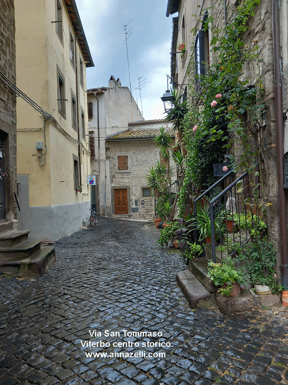 via san tommaso viterbo centro storico info e foto anna zelli