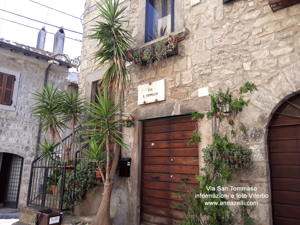 via san tommaso viterbo centro storico info e foto anna zelli