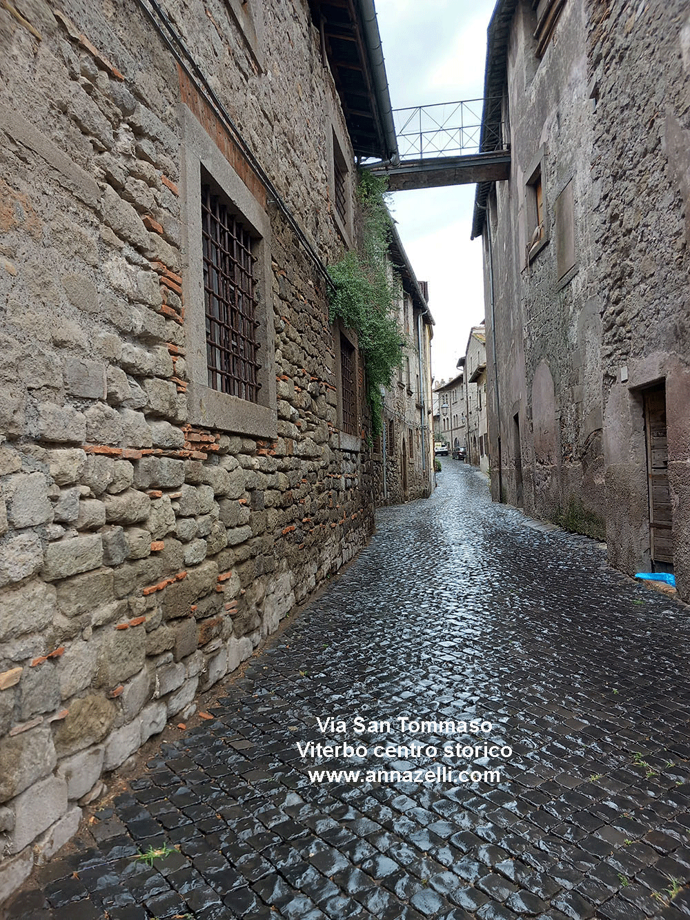 via san tommaso viterbo centro storico info e foto anna zelli