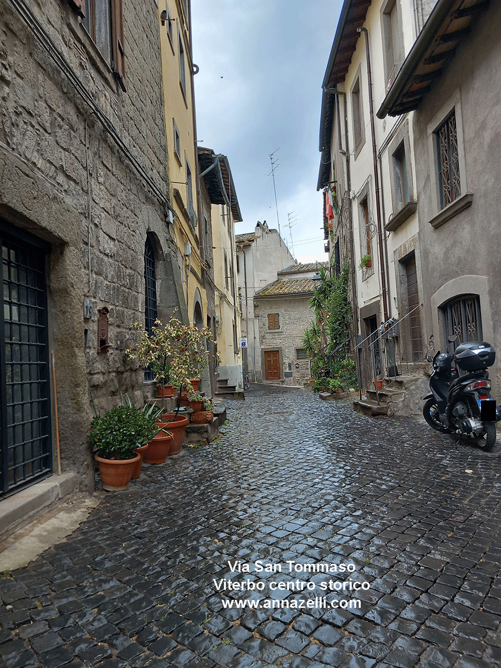 via san tommaso viterbo centro storico info e foto anna zelli