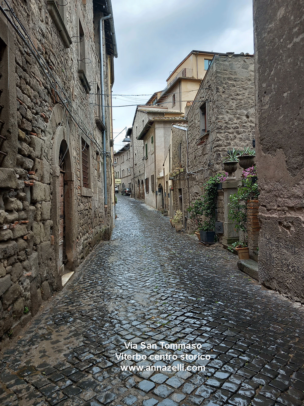 via san tommaso viterbo centro storico info e foto anna zelli