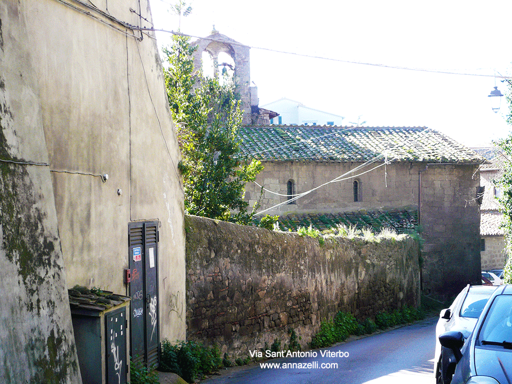 via sant'antonio viterbo centro storico info e foto anna zelli