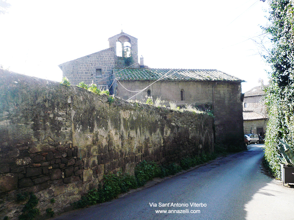 via sant'antonio viterbo centro storico info e foto anna zelli