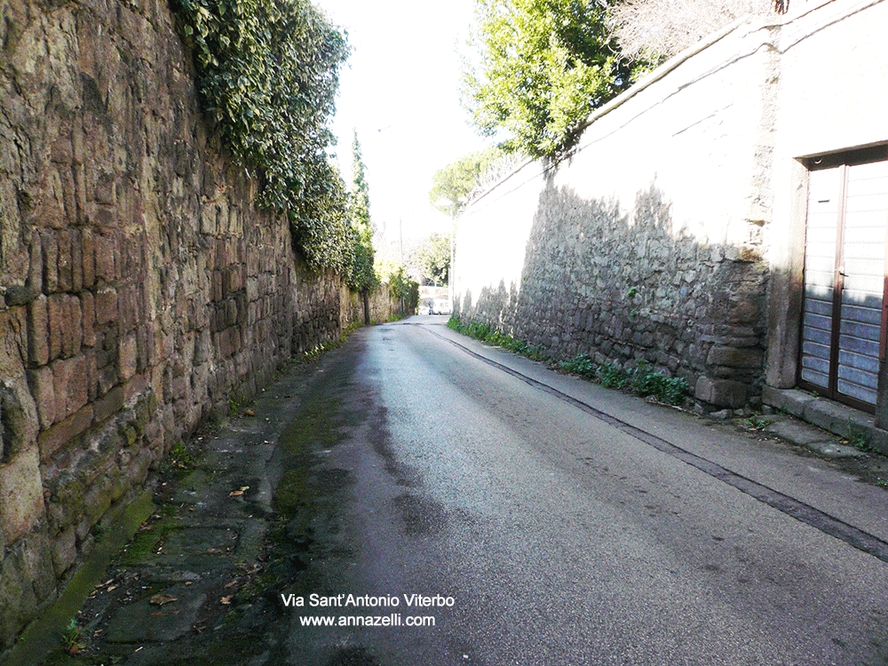 via sant'antonio viterbo centro storico info e foto anna zelli