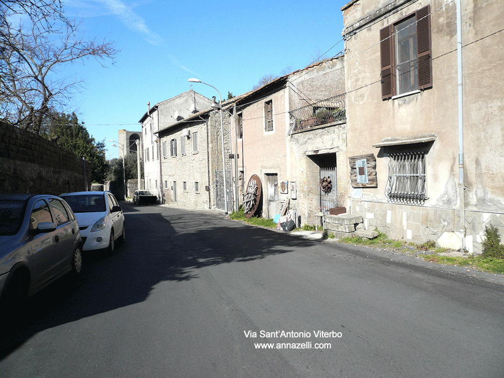 via sant'antonio viterbo centro storico info e foto anna zelli