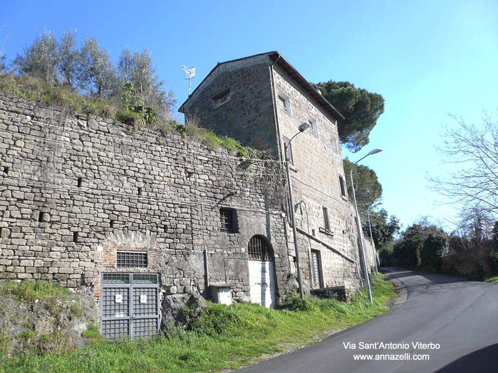 via sant'antonio viterbo info e foto anna zelli