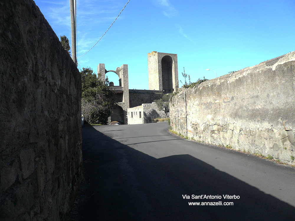 via sant'antonio viterbo centro storico info e foto anna zelli