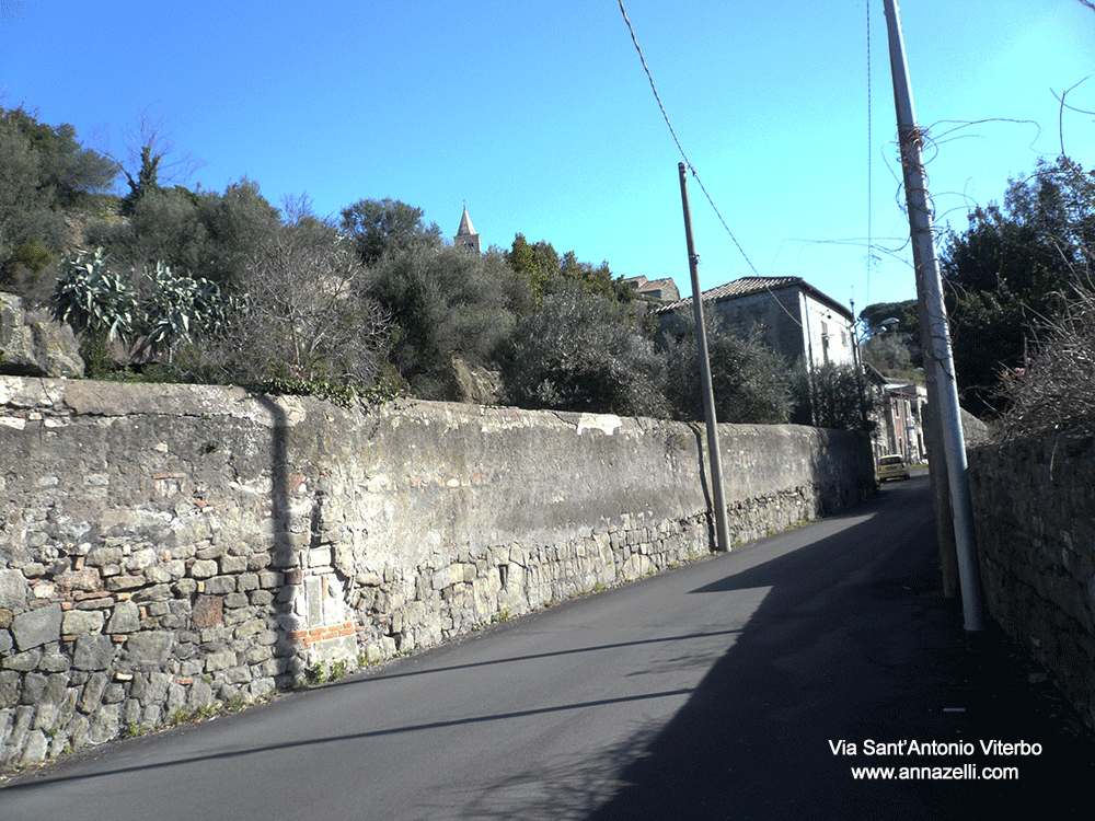 via sant'antonio viterbo centro storico info e foto anna zelli