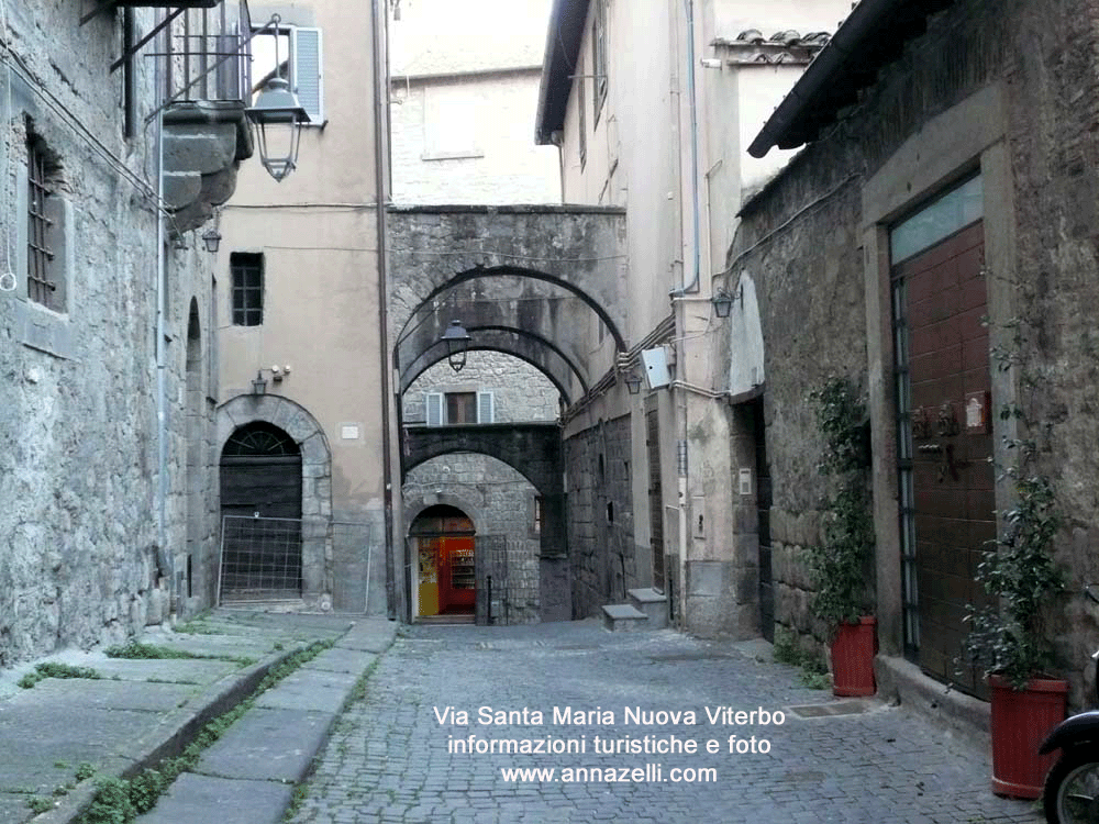 via santa maria nuova viterbo centro storico informazioni e fotografie anna zelli