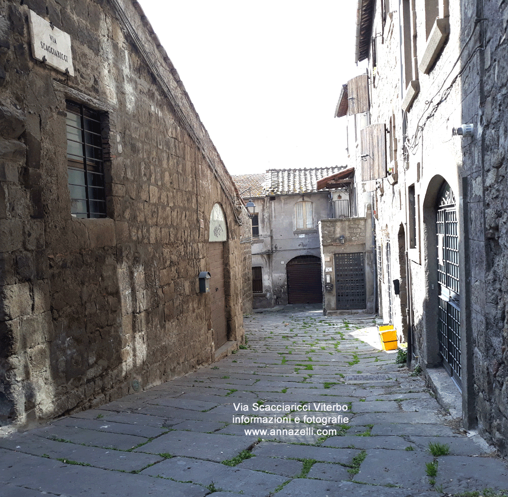 via scacciaricci viterbo centro storico info foto anna zelli