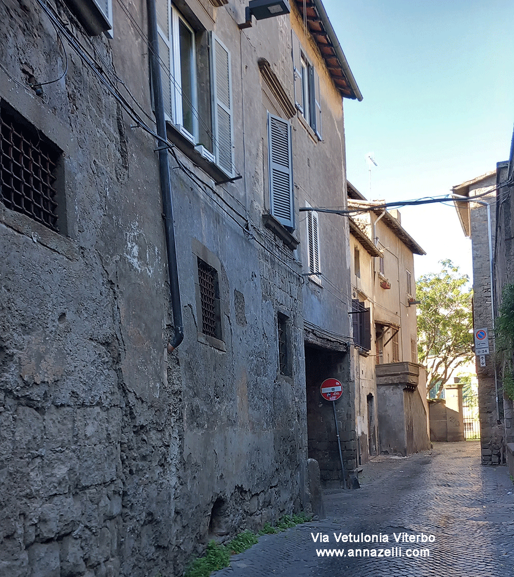 via vetulonia viterbo centro storico info e foto anna zelli